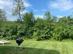 David E.'s Yard Cutting service result