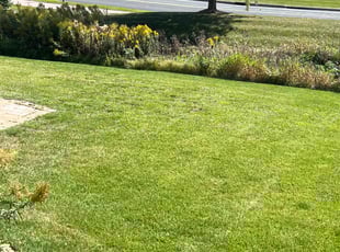 Karissa J.'s Lawn Maintenance service result