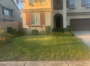 Rosemary G.'s Lawn Mowing service result