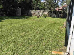 Michelle K.'s Lawn Care service result