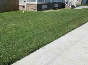Max K.'s Lawn Maintenance service result