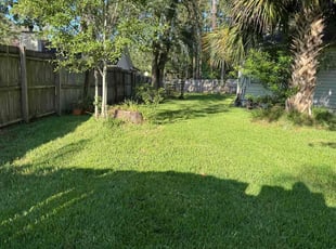 Michael D.'s Lawn Care service result