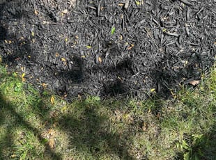 Landscaping by Ashley Daker for Karis D. in Indianapolis, IN