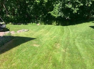 Jennifer W D.'s Lawn Care service result