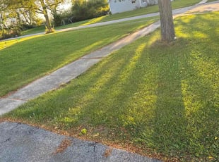 Shawne M.'s Grass Cutting service result
