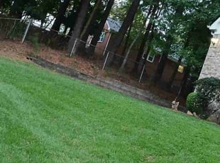 Cassi S.'s Lawn Mowing Service service result