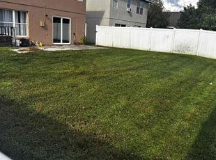Jaleesa C.'s Lawn Mowing service result