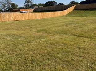 Walther C.'s Lawn Maintenance service result