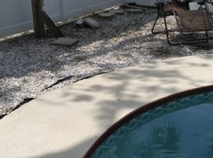 Weeding by Derek Washington for Matthew A. in St. Petersburg, FL
