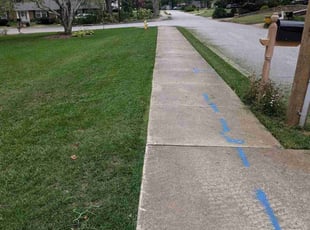 Lisa G.'s Lawn Mowing Service service result