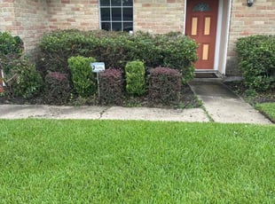 Bush Trimming by Ashley Bass for Anthony C. in Houston, TX