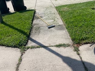 Weeding by Dwayne Coley for Juan R. in Orlando, FL