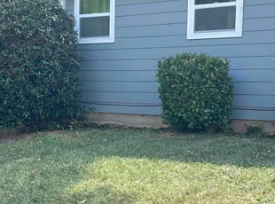 Bush Trimming by Julius Snipes for Julie Anne B. in Riverdale, GA