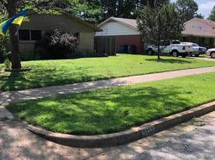 Rayce M.'s Grass Cutting service result