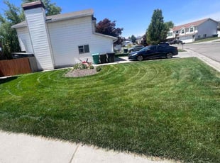 Jason P.'s Lawn Mowing Service service result