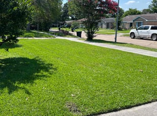 Travis .'s Lawn Care service result