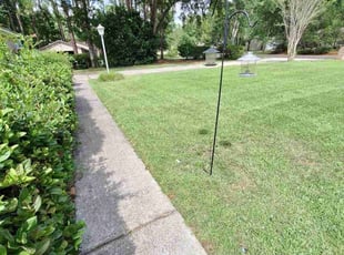 Charlene M.'s Lawn Maintenance service result
