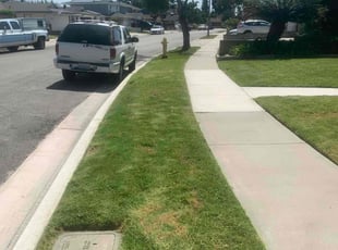 Joel W.'s Lawn Care service result