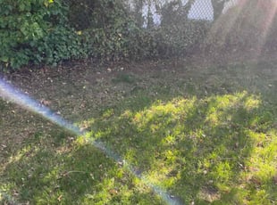 Weeding by Aaron Ford for Jennifer C. in Farmingdale, NY