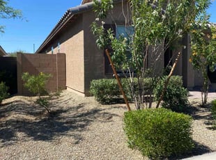 Bush Trimming by Sampson Macias for Regina A. in Buckeye, AZ