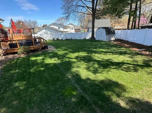 Reyes R.'s Lawn Mowing service result