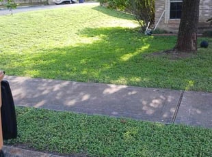 Joerg C.'s Lawn Mowing Service service result