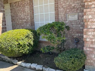 Bush Trimming by Jaime Duran for Christina A. in Arlington, TX