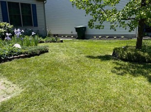 Ruby P.'s Lawn Service service result