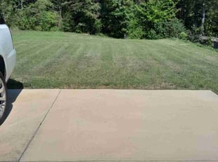Ember M.'s Lawn Service service result