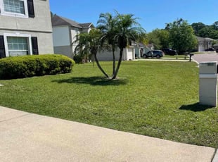 Harald M.'s Lawn Care service result