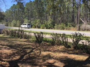 Bush Trimming by Bradley Cohen for Charmaine I. in Palm Coast, FL