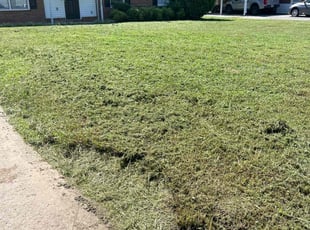 Cristina Y.'s Lawn Mowing service result