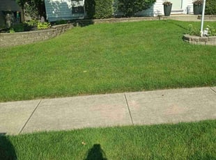 Dulce M.'s Lawn Care service result
