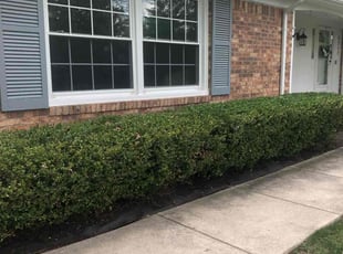 Bush Trimming by Japheus Sanders for Amber R. in West Bloomfield Township, MI