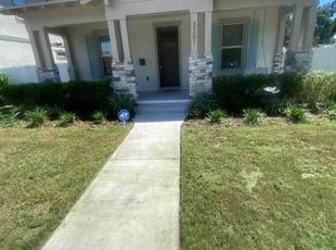 Bush Trimming by latre Wise for Steven W. in St. Petersburg, FL