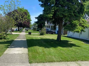 Titus R.'s Lawn Mowing Service service result