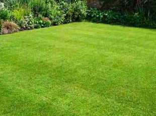 Marla H.'s Lawn Service service result