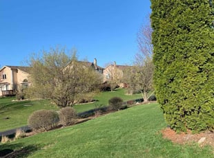 Patricia T.'s Grass Cutting service result