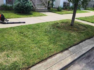 Tran T.'s Lawn Care service result