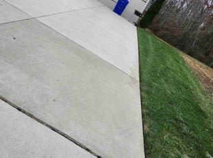 Laura G.'s Lawn Service service result