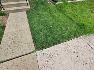 Jacquelyn P.'s Lawn Mowing service result