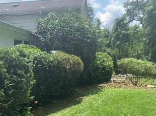 Cleanups by candelario castillo for Thomas D. in Annandale, VA