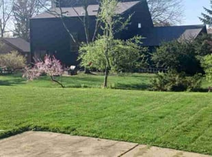 Phillip A.'s Yard Cutting service result