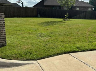 Robert J.'s Lawn Mowing service result
