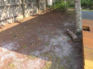 Leaf Removal by Adam Watters for Eric S. in Panama City Beach, FL