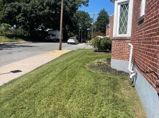 Kevin h.'s Lawn Care service result