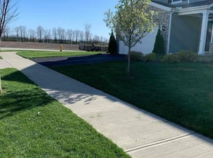 Daniel W.'s Lawn Mowing service result