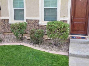 Bush Trimming by Raul Blanco for Kurt A. in Gilbert, AZ