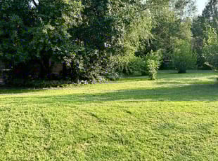 Nancy S.'s Lawn Mowing service result