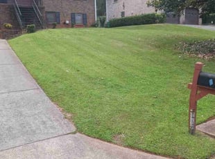 Bush Trimming by Jazzmin Earl for April . in Decatur, GA